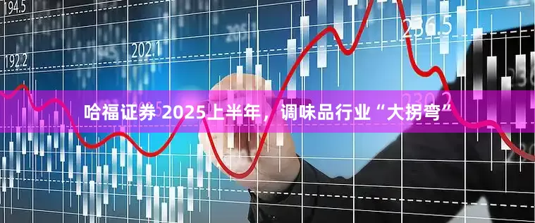 哈福证券 2025上半年，调味品行业“大拐弯”