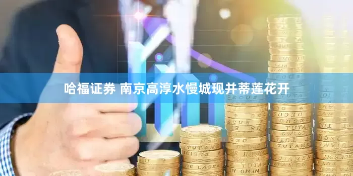 哈福证券 南京高淳水慢城现并蒂莲花开